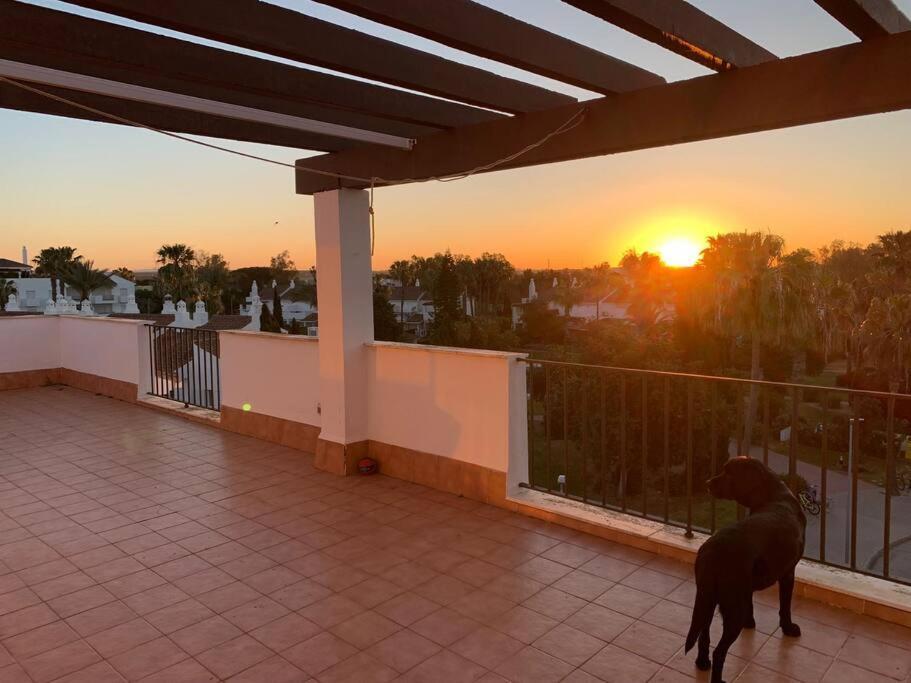 Atico Costa Ballena - Cadiz Rota Buitenkant foto